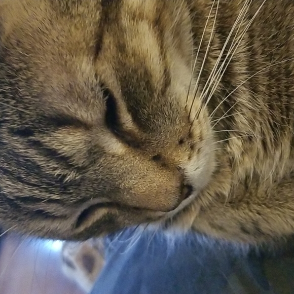 Meet your Posher, Dave - Picture 1 of 1